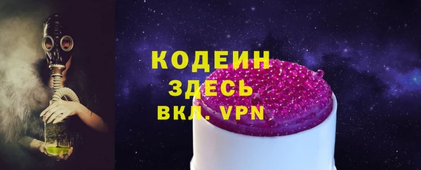 спиды Каменка