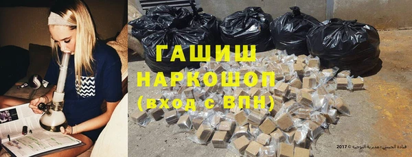 гашик Алексин