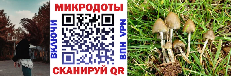 Галлюциногенные грибы MAGIC MUSHROOMS  Орехово-Зуево 